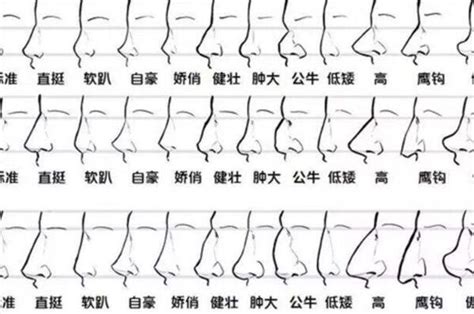 鼻孔大的人|相学最有福气的7种鼻子 面相中最有福气的7种鼻子